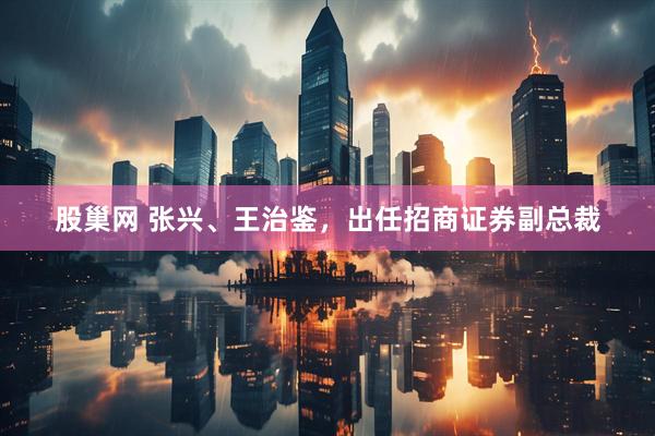 股巢网 张兴、王治鉴，出任招商证券副总裁