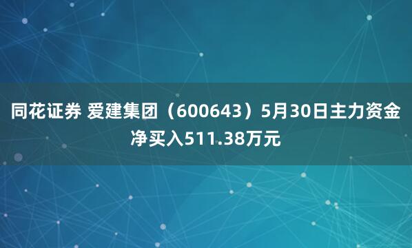 同花证券 爱建集团（600643）5月30日主力资金净买入511.38万元