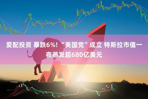 爱配投资 暴跌6%! “美国党”成立 特斯拉市值一夜蒸发超680亿美元