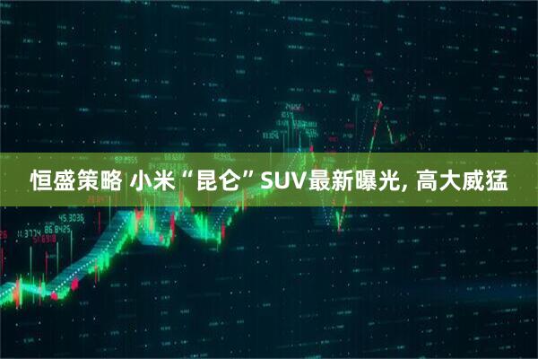 恒盛策略 小米“昆仑”SUV最新曝光, 高大威猛