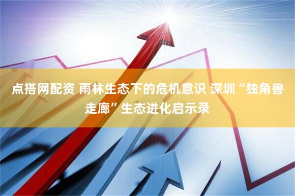 点搭网配资 雨林生态下的危机意识 深圳“独角兽走廊”生态进化启示录