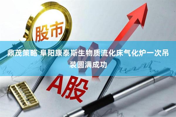 鼎茂策略 阜阳康泰斯生物质流化床气化炉一次吊装圆满成功