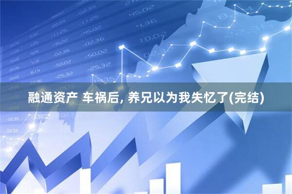 融通资产 车祸后, 养兄以为我失忆了(完结)