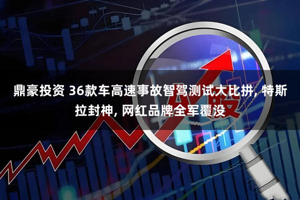 鼎豪投资 36款车高速事故智驾测试大比拼, 特斯拉封神, 网红品牌全军覆没