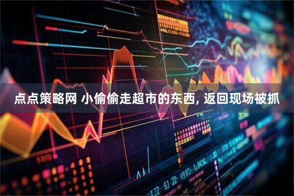 点点策略网 小偷偷走超市的东西, 返回现场被抓