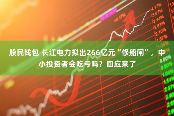 股民钱包 长江电力拟出266亿元“修船闸”，中小投资者会吃亏吗？回应来了