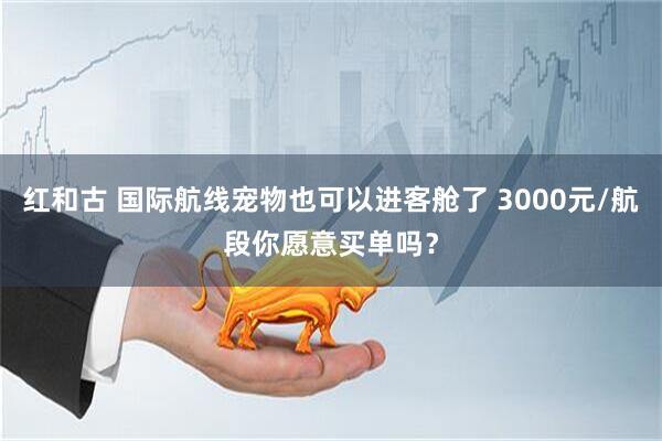 红和古 国际航线宠物也可以进客舱了 3000元/航段你愿意买单吗？