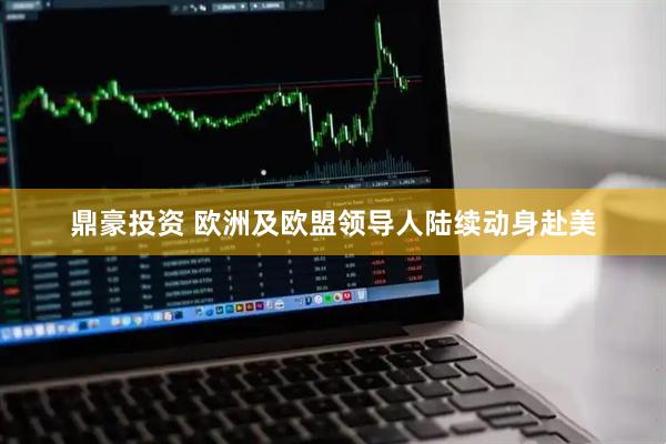 鼎豪投资 欧洲及欧盟领导人陆续动身赴美