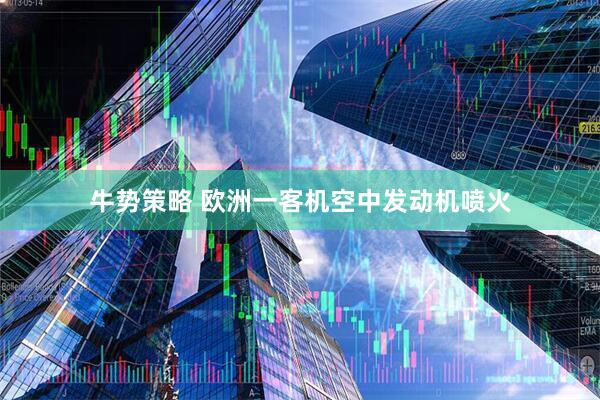 牛势策略 欧洲一客机空中发动机喷火