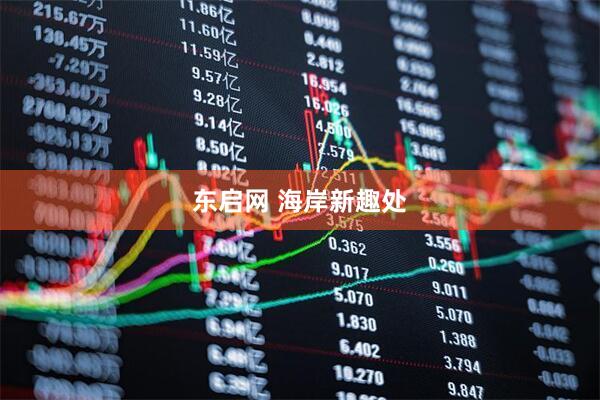 东启网 海岸新趣处